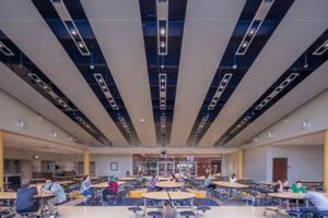 Discover Mountview Middle School: A Parent's Guide Best Schools in America: Top Public & Private Options Discover Mountview Middle School: A Parent's Guide | Best Schools in America: Top Public & Private Options