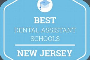 Top Dental Schools in New Jersey: 2024 Guide Best Schools in America: Top Public & Private Options Top Dental Schools in New Jersey: 2024 Guide | Best Schools in America: Top Public & Private Options