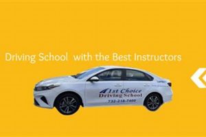 Top 5 Best Driving Schools in NJ for New Drivers Best Schools in America: Top Public & Private Options Top 5 Best Driving Schools in NJ for New Drivers | Best Schools in America: Top Public & Private Options