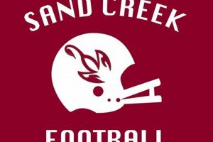 Sand Creek HS Football: Home of the Scorpions Best Schools in America: Top Public & Private Options Sand Creek HS Football: Home of the Scorpions | Best Schools in America: Top Public & Private Options