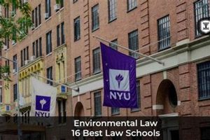 Top 10 Best Environmental Law Schools: 2024 Guide Best Schools in America: Top Public & Private Options Top 10 Best Environmental Law Schools: 2024 Guide | Best Schools in America: Top Public & Private Options