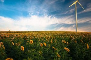 Top Best Schools for Ecology Programs 2024 Best Schools in America: Top Public & Private Options Top Best Schools for Ecology Programs 2024 | Best Schools in America: Top Public & Private Options