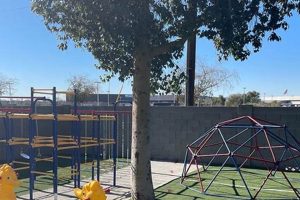 Top Autism Elementary Schools Near Me: Find the Perfect Fit Best Schools in America: Top Public & Private Options Top Autism Elementary Schools Near Me: Find the Perfect Fit | Best Schools in America: Top Public & Private Options