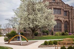 Top Philadelphia Private Schools: 2024 Guide Best Schools in America: Top Public & Private Options Top Philadelphia Private Schools: 2024 Guide | Best Schools in America: Top Public & Private Options