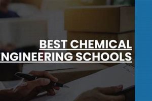 Top Chemical Engineering Schools: 2024 Guide Best Schools in America: Top Public & Private Options Top Chemical Engineering Schools: 2024 Guide | Best Schools in America: Top Public & Private Options