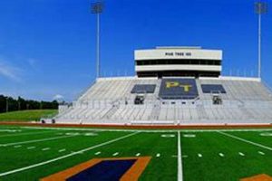 Pine Tree High School Football: A Winning Tradition Best Schools in America: Top Public & Private Options Pine Tree High School Football: A Winning Tradition | Best Schools in America: Top Public & Private Options