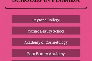 Top Hair Schools in Florida: 2024 Guide | Best Schools in America: Top Public & Private Options
