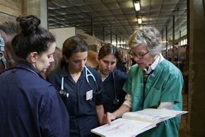Top 10 Best Equine Vet Schools: 2024 Guide Best Schools in America: Top Public & Private Options Top 10 Best Equine Vet Schools: 2024 Guide | Best Schools in America: Top Public & Private Options