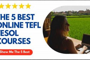 Top 5 Best TEFL Schools: 2024 Guide Best Schools in America: Top Public & Private Options Top 5 Best TEFL Schools: 2024 Guide | Best Schools in America: Top Public & Private Options