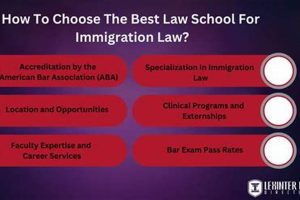 Top Law Schools for Immigration Law Experts Best Schools in America: Top Public & Private Options Top Law Schools for Immigration Law Experts | Best Schools in America: Top Public & Private Options