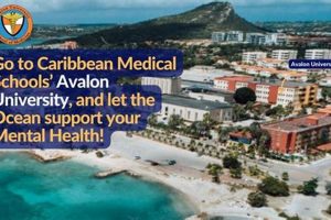 Top Caribbean Med Schools: Guide & Rankings Best Schools in America: Top Public & Private Options Top Caribbean Med Schools: Guide & Rankings | Best Schools in America: Top Public & Private Options