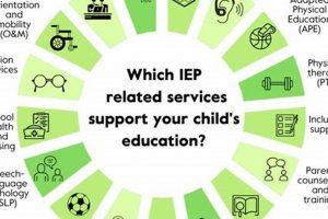 Top Elementary Schools for IEP Students: A Guide Best Schools in America: Top Public & Private Options Top Elementary Schools for IEP Students: A Guide | Best Schools in America: Top Public & Private Options
