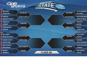 GA HS Football Playoffs 2024 Brackets & Scores Best Schools in America: Top Public & Private Options GA HS Football Playoffs 2024 Brackets & Scores | Best Schools in America: Top Public & Private Options