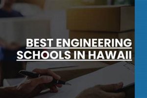 Top Engineering Schools in Hawaii 2024 | Best Schools in America: Top Public & Private Options