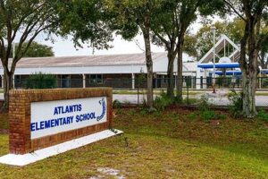 Top Cocoa Elementary Schools: A Guide Best Schools in America: Top Public & Private Options Top Cocoa Elementary Schools: A Guide | Best Schools in America: Top Public & Private Options