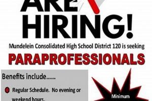 Find Mundelein High School Employment & Jobs Best Schools in America: Top Public & Private Options Find Mundelein High School Employment & Jobs | Best Schools in America: Top Public & Private Options
