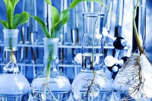 Top Best Schools for Plant Biology Programs | Best Schools in America: Top Public & Private Options