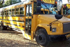 Now Hiring: Suwannee County School Jobs in FL | Best Schools in America: Top Public & Private Options