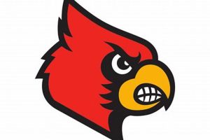 East Surry High School Football: Go Cardinals! Best Schools in America: Top Public & Private Options East Surry High School Football: Go Cardinals! | Best Schools in America: Top Public & Private Options