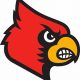 East Surry High School Football: Go Cardinals! | Best Schools in America: Top Public & Private Options