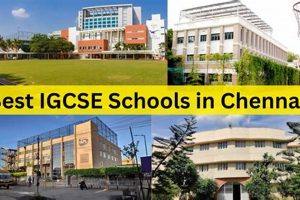 Top 10 Best IGCSE Schools in India 2024 | Best Schools in America: Top Public & Private Options