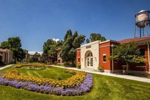 Top Art Schools in Colorado: 2024 Guide | Best Schools in America: Top Public & Private Options