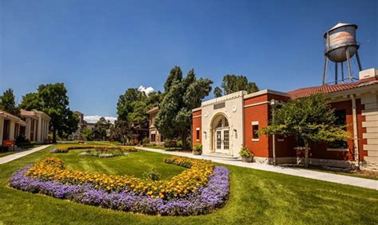 Top Art Schools in Colorado: 2024 Guide Best Schools in America: Top Public & Private Options Top Art Schools in Colorado: 2024 Guide | Best Schools in America: Top Public & Private Options