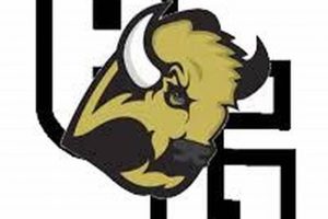 Go Bison! Buffalo Gap HS Football Updates | Best Schools in America: Top Public & Private Options