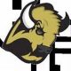Go Bison! Buffalo Gap HS Football Updates | Best Schools in America: Top Public & Private Options