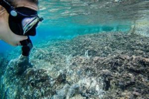 Top 10 Best Oceanography Schools & Programs | Best Schools in America: Top Public & Private Options