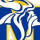 Minneota HS Football: MN State Tournament Glory | Best Schools in America: Top Public & Private Options