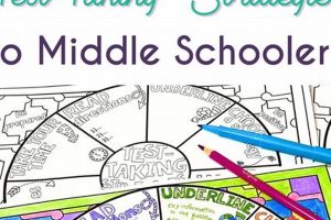 Proven Test-Taking Strategies for Middle School Success | Best Schools in America: Top Public & Private Options