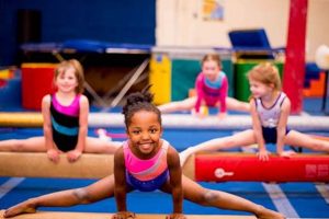 Best Gymnastics Schools Near Me | Best Schools in America: Top Public & Private Options