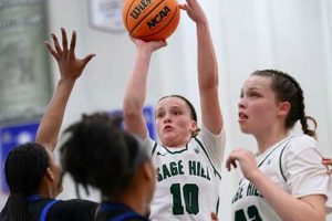 The Best Hill School Basketball Programs Best Schools in America: Top Public & Private Options The Best Hill School Basketball Programs | Best Schools in America: Top Public & Private Options