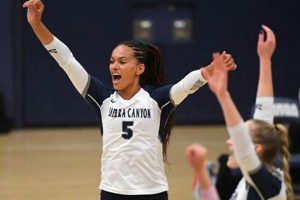 Top-Ranked Olivia Babcock High School: A Guide | Best Schools in America: Top Public & Private Options