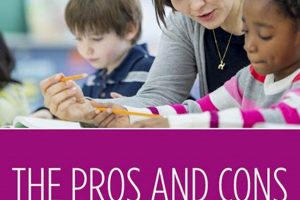 Effective Departmentalization in Elementary Schools | Best Schools in America: Top Public & Private Options