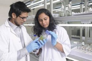 Top 10 Best Biotech Schools & Programs 2024 | Best Schools in America: Top Public & Private Options