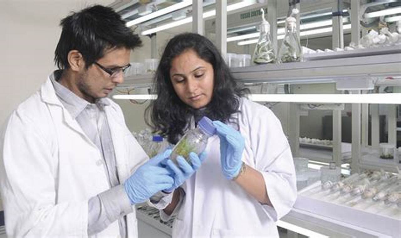 Top 10 Best Biotech Schools & Programs 2024 Best Schools in America: Top Public & Private Options Top 10 Best Biotech Schools & Programs 2024 | Best Schools in America: Top Public & Private Options