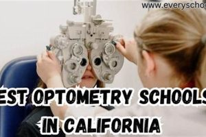 Top Optometry Schools in California 2024 | Best Schools in America: Top Public & Private Options