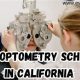 Top Optometry Schools in California 2024 | Best Schools in America: Top Public & Private Options