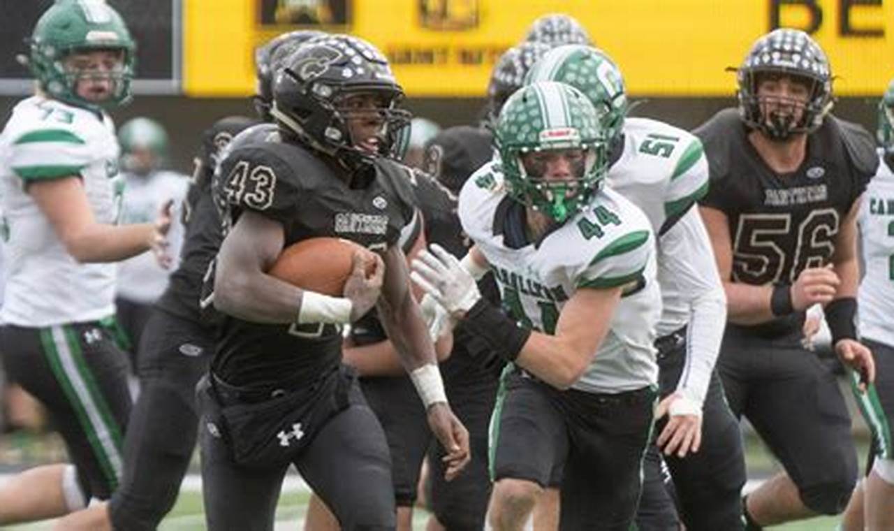 Lena Winslow HS Football: Home of the Panthers Best Schools in America: Top Public & Private Options Lena Winslow HS Football: Home of the Panthers | Best Schools in America: Top Public & Private Options