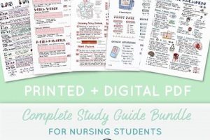 Top Best Nursing School Study Guides & Resources | Best Schools in America: Top Public & Private Options
