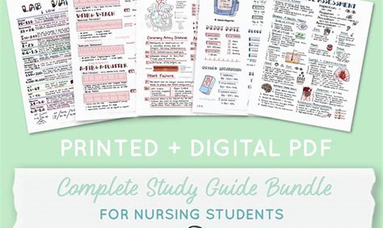 Top Best Nursing School Study Guides & Resources | Best Schools in America: Top Public & Private Options