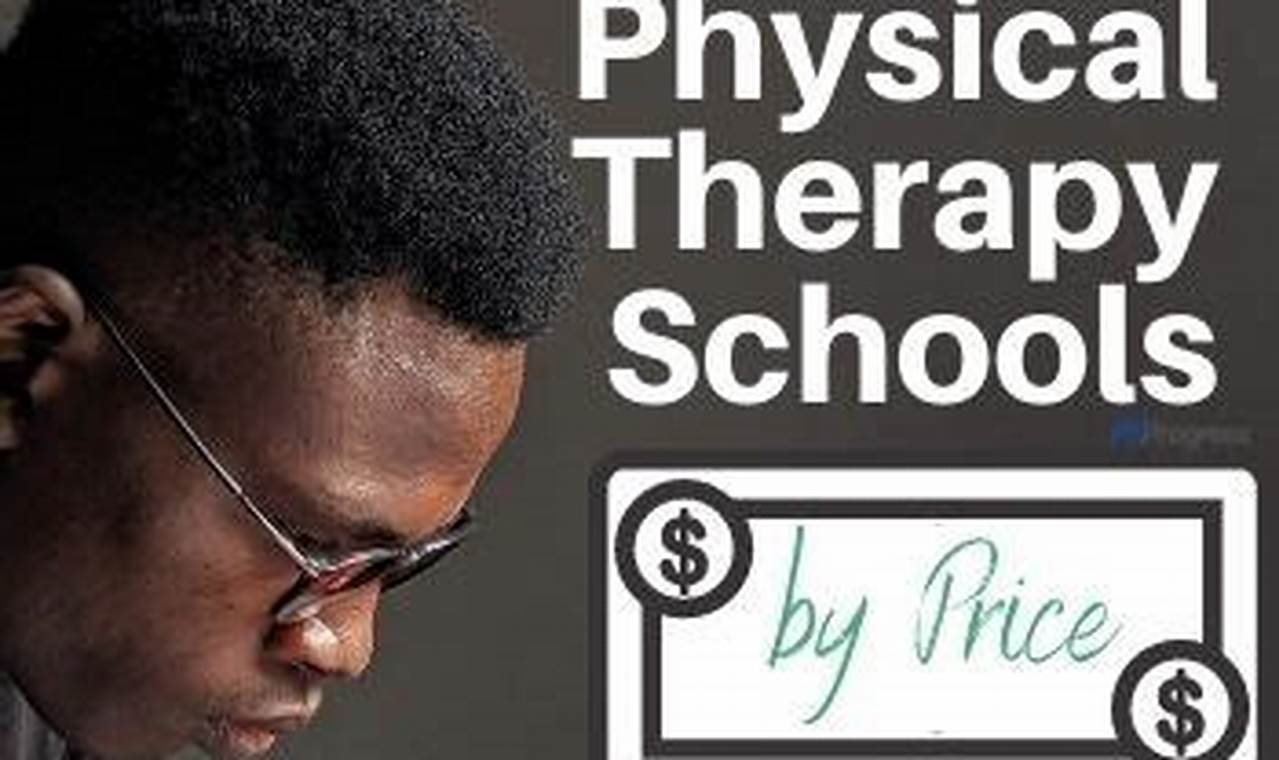 Top 10 Best Physical Therapy Schools in the US 2024 | Best Schools in America: Top Public & Private Options