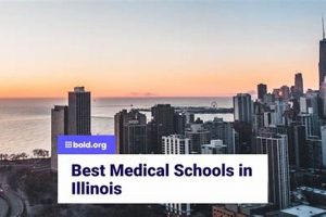 Top Medical Schools in Illinois: A 2024 Guide Best Schools in America: Top Public & Private Options Top Medical Schools in Illinois: A 2024 Guide | Best Schools in America: Top Public & Private Options