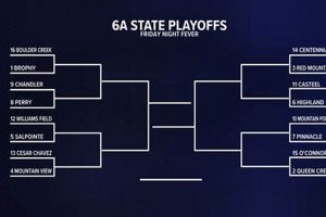 2024 KY HS Football Playoffs Bracket &amp; Scores | Best Schools in America: Top Public & Private Options