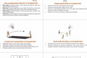 Top Middle School Basketball Drills (PDF) | Best Schools in America: Top Public & Private Options