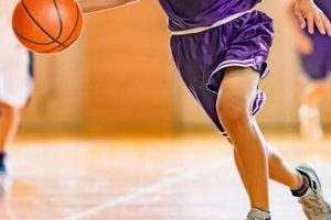 Colorado High School Basketball Rankings | Best Schools in America: Top Public & Private Options