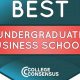 Best Undergrad Cs Schools | Best Schools in America: Top Public & Private Options