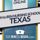 Top 10 Best RN Schools in Texas 2024 | Best Schools in America: Top Public & Private Options